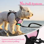 rabbitgoo Dog Harness No Pull with 2 Leash Clips, Adjustable Soft Padded, Reflective Oxford No Choke Pet Vest with Easy Control Handle for Puppy, Pink, XS