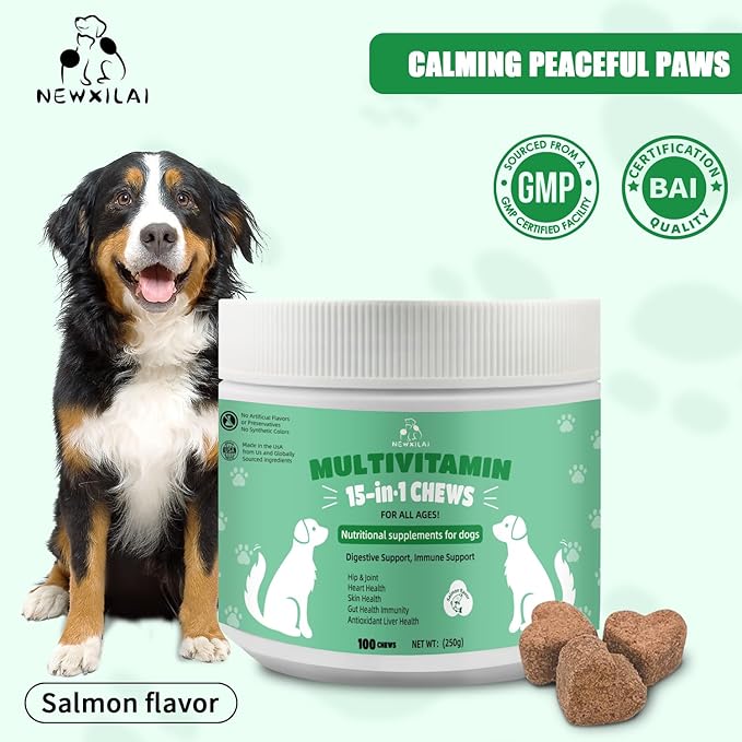 Premium Multivitamin Chewable for Dog - Dogs Vitamins Supplements with Glucosamine HCL Omega-3 Antioxidants Support Digestion Joint Health Immune Function Skin & Coat, Beef Flavor 100 Soft Treats