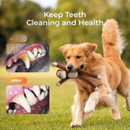 Dog Toy with Crinkle Paper & Squeaker Durable Plush Tug of War Dog Toys Interactive Soft Puppy Toy for Small Medium & Large Dogs to Keep Them Busy