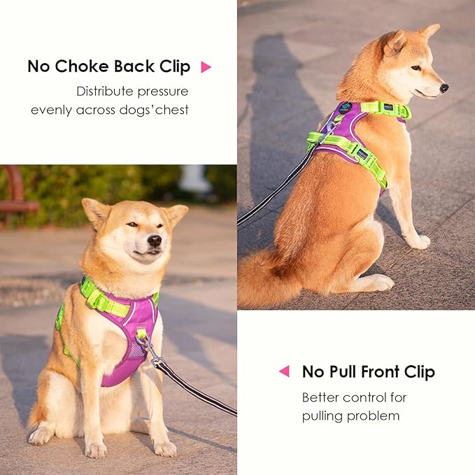 PHOEPET No Pull Dog Harness, Unique Colors Reflective Adjustable Dog Vest, with Soft Training Handle Metal Clips for Small Medium Large Dogs (Purple Base & Green Straps,S)