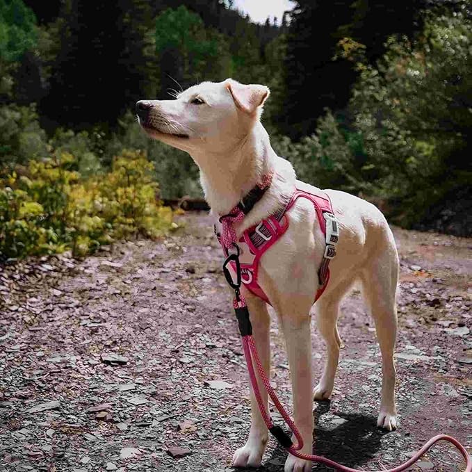 Auroth Tactical Pet Harness for Small Medium Large Dogs No Pull Adjustable, Reflective K9 Working Training Easy Control Vest Military Service Dog, Large, Pink Camo