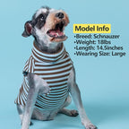 KYEESE 2Pack Dog Sweater Soft Dog Sweatshirt Pullover Pet Sweaters for Medium Dogs Male Warm Pet Coats Stretchy Dachshund Clothes Turtleneck Dogs Clothes