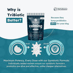 Calming Synbiotic Formula - with L-Theanine, L-Tryptophan, Probiotics, and B-Vitamins in 30 Packs