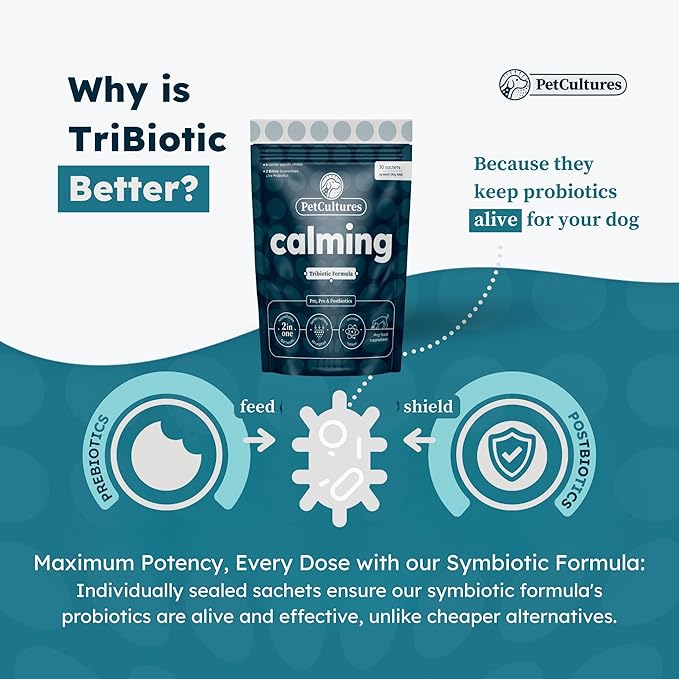 Calming Synbiotic Formula - with L-Theanine, L-Tryptophan, Probiotics, and B-Vitamins in 30 Packs