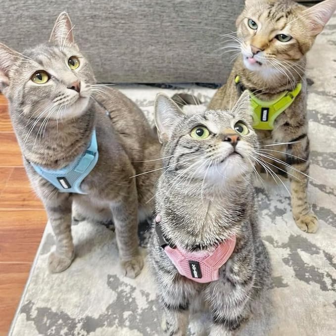 Voyager Escape-Proof Step-in Lock Cat Harness & 5ft Neoprene-Handle Leash Set All-Weather Mesh with Reflective Stitching for Small to Large Cats by Best Pet Supplies, Pink, XS