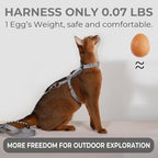 Cat Harness and Leash Set - Grey Lightweight Soft Kitten Harness Escape Proof, Adjustable Travel Pet Harness for Walking，Easy Control Comfortable Outdoor (Grey, One Size Fits All)