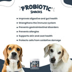 Bruno & Lukas Probiotics Treats for Dogs Support Gut Flora Health Diarrhea Digestive Itchiness Bowel Aid – Dog Supplement for Pet Immune System – Tasty Alternative Chicken Liver Flavor (90 Chews).