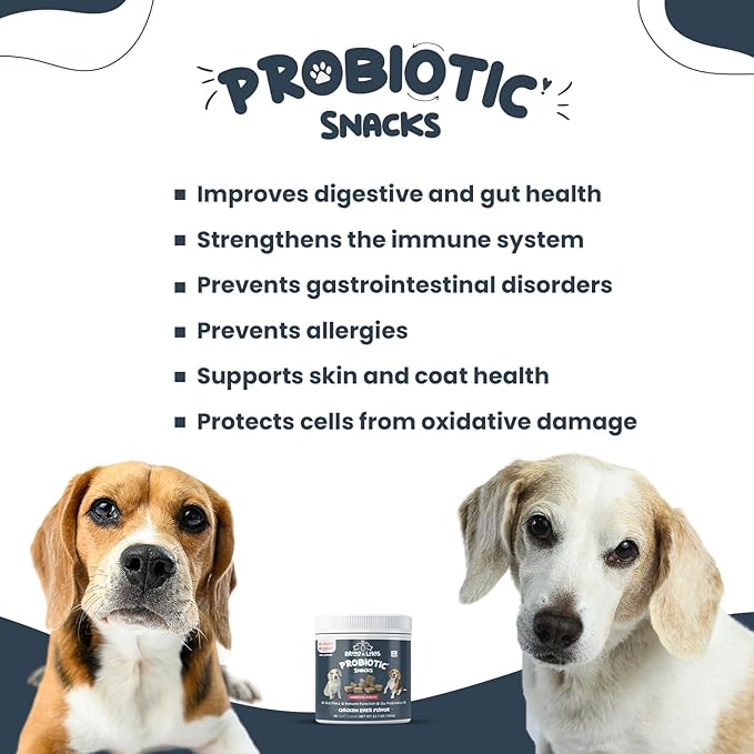 Bruno & Lukas Probiotics Treats for Dogs Support Gut Flora Health Diarrhea Digestive Itchiness Bowel Aid – Dog Supplement for Pet Immune System – Tasty Alternative Chicken Liver Flavor (90 Chews).