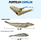 Puppyluv Capelin Treats for Dogs & Cats – Freeze-Dried Whole Fish, High Protein, Omega 3/6/9, Healthy Skin & Coat, Grain-Free, Natural Training Treats, 2.6oz