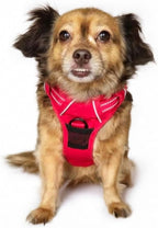 Doggie Design Venture Paw No Pull Dog Harness - Simple Adjustable Puppy Harness - Anti Pull Dog Collar for Walks and Outdoor Adventures - Crimson, S