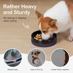 Sted Ceramic Slow Feeding Dog Bowl with Silicone Base, Small Medium Breed, Slow Down Eating, Puzzle Dog Food Bowl, Maze Black