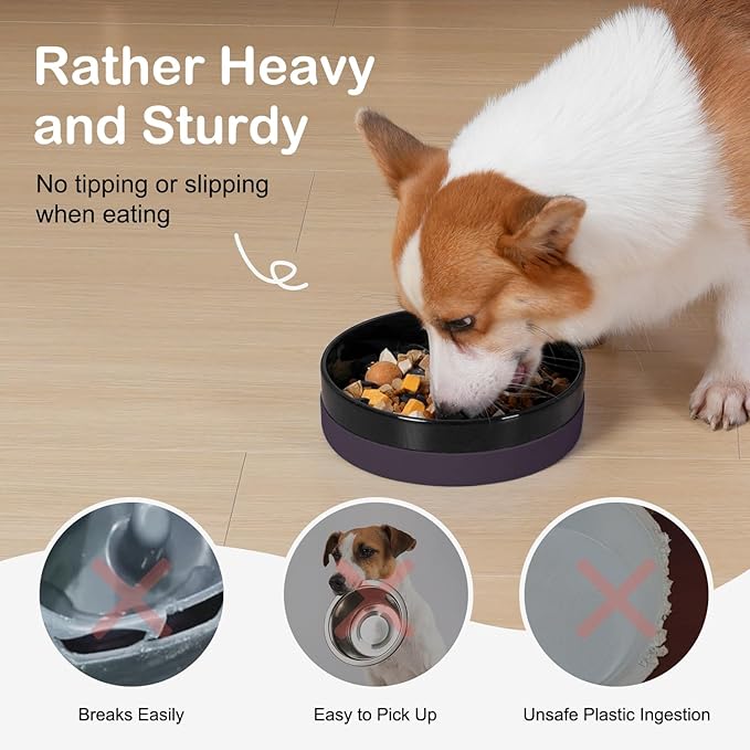 Sted Ceramic Slow Feeding Dog Bowl with Silicone Base, Small Medium Breed, Slow Down Eating, Puzzle Dog Food Bowl, Maze Black