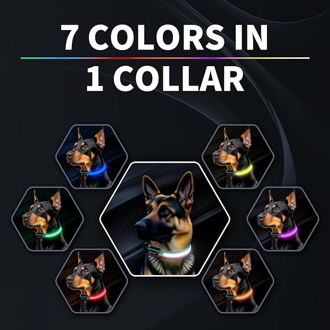 PetIsay LED Dog Collar - 7 Solid Colors & Memory - 300mAh Even Glow, No Half-Neck Light - USB-C Rechargeable, IPX7 Waterproof, Adjustable for Backyard, Hiking, Parties(Medium)