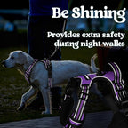 rabbitgoo Dog Harness Small Sized, No Pull Pet Harness with 3 Buckles, Adjustable Soft Padded Vest with Control Handle, Walking Reflective Pet Vest for Small Dogs, Purple, S