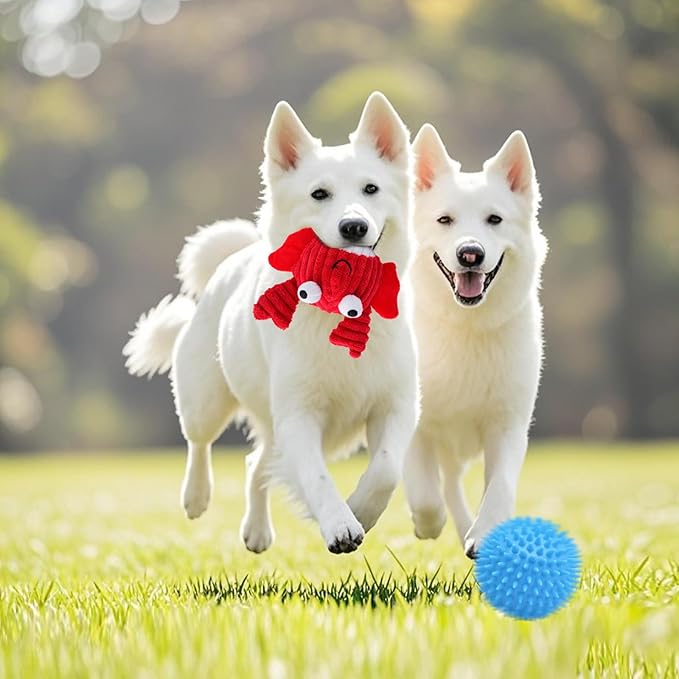 Dog Toys for Aggressive Chewers,Squeaky Dog Toys to Keep Them Busy,No Stuffing Interactive Dog Chew Toys,Suitable for Medium,Large and Small Dogs(red Crabs)