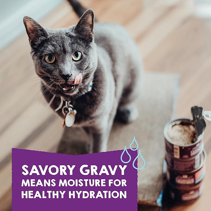 Stella & Chewy's Carnivore Cravings Purrfect Paté - Premium Grain-Free Wet Cat Food - 6 Flavor Variety Pack - High Protein with Bone Broth - Perfect for Picky Eaters - 2.8oz Cans (24 Pack)