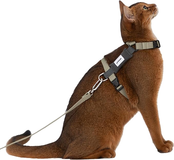 H-Shape Escape Proof Cat Harness & Leash Set - Plush Padded Back, Adjustable Neck/Chest, Lightweight, w/ 1.5cm Wide Leash for Kittens to Adult Cats(Olive and Gray)