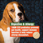 Army Soldier Owned Dog Probiotics for Yeast, Itchy Skin & Itchy Ears, Dog Allergy Relief, Digestive Health, Occasional Diarrhea & Immune Support, 60 Yummy Chewables
