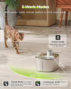 Automatic Cat Feeder+Wireless Cats Water Fountain Stainless Steel 4.5L Set，5G & 2.4G Pet Food Dispenser Feeders， Pet Dry Food, 1-10 Meals Per Day
