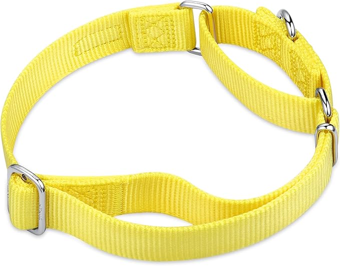 Hyhug Martingale Collar for Dogs Large Yellow |Escape - Proof Heavy Duty Nylon Durable No Pull, Ideal for Training & Daily Walks