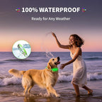 LED Dog Collar with Metal Buckle - USB Rechargeable Glow Collar for Dogs, Waterproof Light Up Dog Collar w/Reflective Strips - Adjustable Night Safety Collars by PetIsay(Green,Medium)