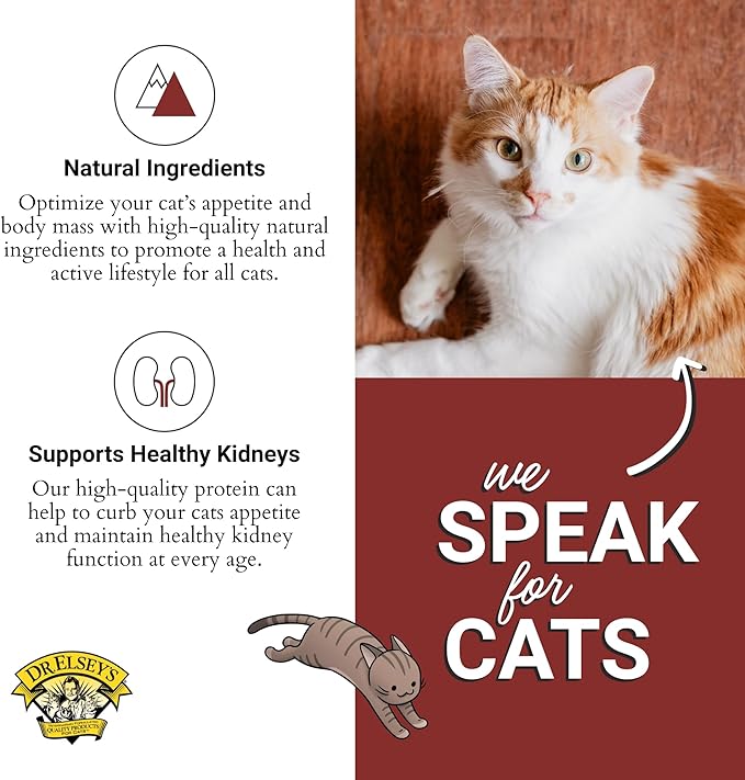 Dr. Elsey's cleanprotein Salmon & Chicken Homestyle Recipe All-Meat Pouch (Pack of 12)