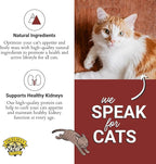 Dr. Elsey's cleanprotein Salmon & Chicken Homestyle Recipe All-Meat Pouch (Pack of 12)