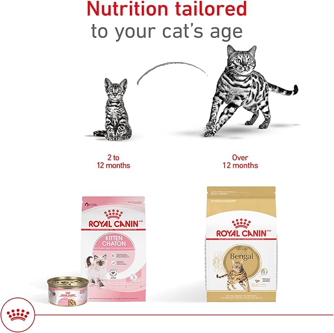 Royal Canin Feline Breed Nutrition Bengal Adult Dry Cat Food, 7 lb Bag