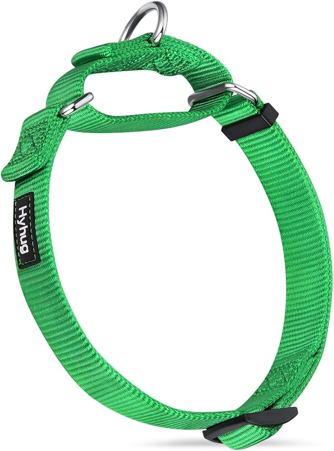 Hyhug Martingale Collar for Dogs Large Green |Escape - Proof Heavy Duty Nylon Durable No Pull, Ideal for Training & Daily Walks