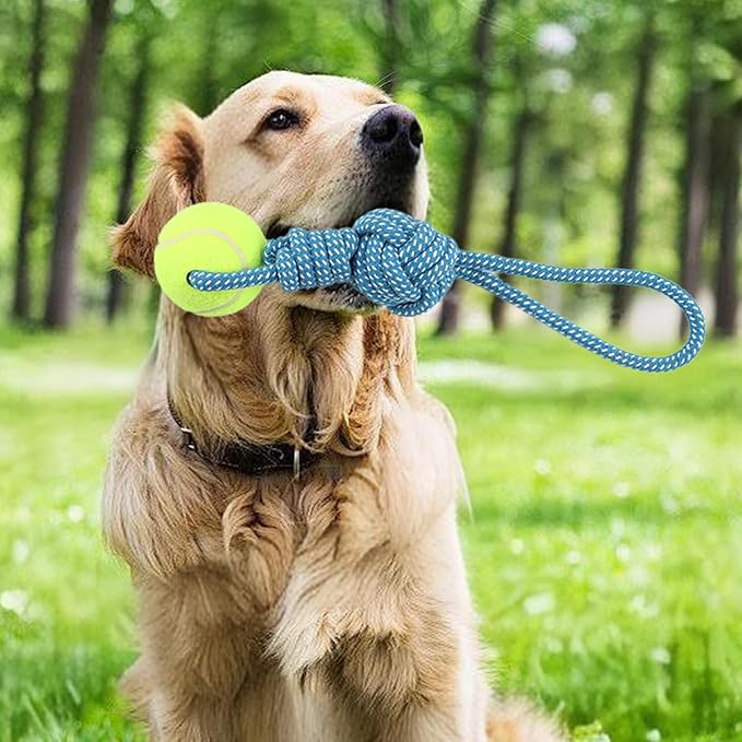 Dog Rope Toy for Medium and Small Dogs Interactive Puppy Toys Tug of War Rope Tether Tug Outdoor Dog Toy 1 Knot Puppy Teething Chew Cotton with Tennis Ball