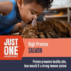 Whole Life Cat Just One Salmon Freeze Dried Cat Treats - Human Grade High Protein Food, Healthy Training Snacks, Freeze Dried Salmon Food Toppers, USA Made Natural Treats - 8 oz (Pack of 1)