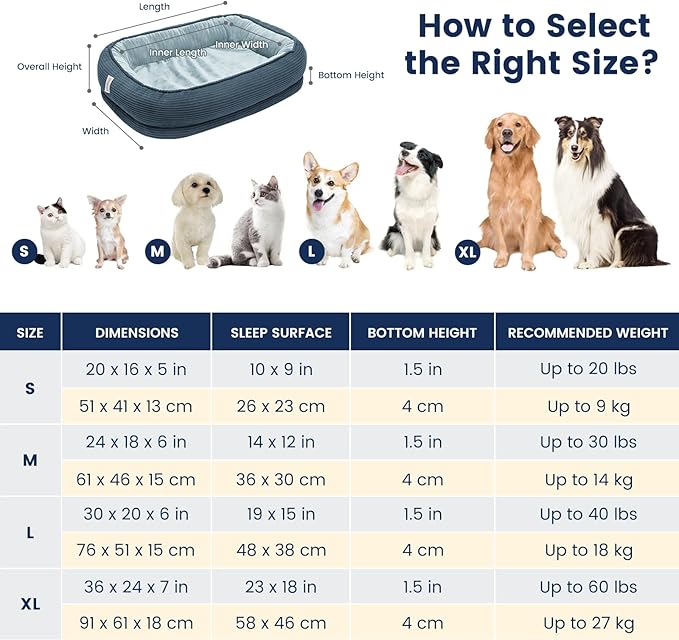 Miguel Cat Beds for Indoor Cats, Small Dog Bed Orthopedic, Memory Foam Pet Bed Washable Removable Cover, Calming Puppy Bed with Sides, Dog Couch Comfort Sofa, Egg Foam Support, Blue 20 inches