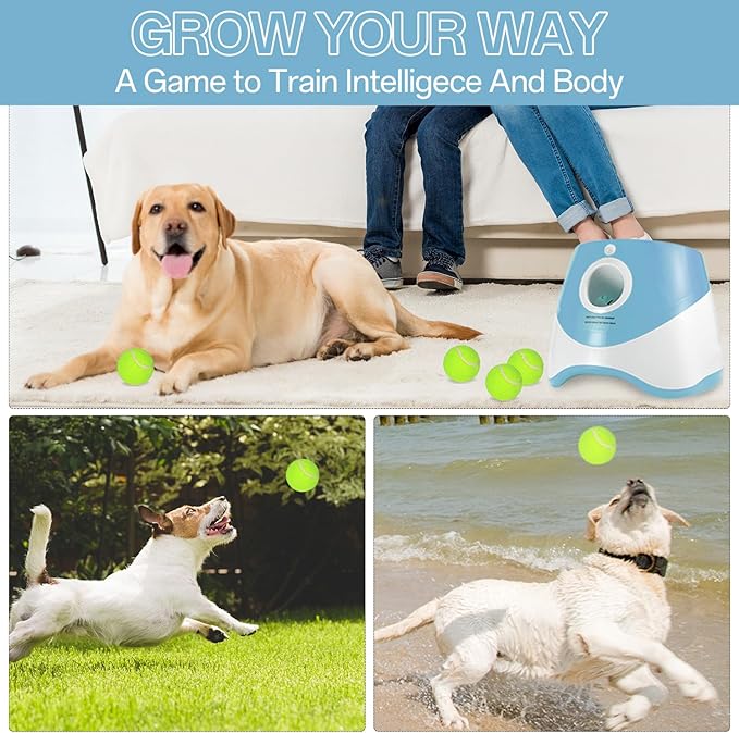 Dog Ball Thrower Launcher,Automatic Ball Launcher for Dogs with 12 Tennis Balls,Thrower Distance 10-30ft,interacive Dog Toys for Dogs Indoor/Outdoor for Small Dogs(Blue)