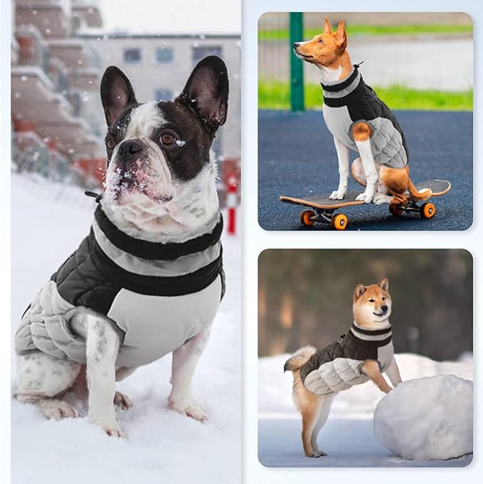 Dog Jackets for Medium Dogs,Medium Dog Coat,Warm Pet Winter Coat Zip Up Back,Waterproof Dogs Jacket with D-Ring,Pet Cold Weather Coats with Fleece Lined, Snowsuit Pug Boston Terrier,Black,M