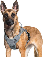rabbitgoo Dog Harness for Large Dogs No Pull, Tactical Service Pet Vest with Molle and Control Handle, Adjustable and Reflective Military Harness for Easy Walking and Training, Grey, XL
