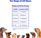 Omega 3 Salmon & Pollock Oil for Dogs – Shedding, Itchy Skin & Joint Support – Vet Formulated, NASC Certified Pet Supplement – 16oz Mess-Free Squeeze – Club Hachiko