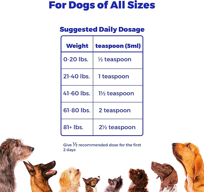 Omega 3 Salmon & Pollock Oil for Dogs – Shedding, Itchy Skin & Joint Support – Vet Formulated, NASC Certified Pet Supplement – 16oz Mess-Free Squeeze – Club Hachiko