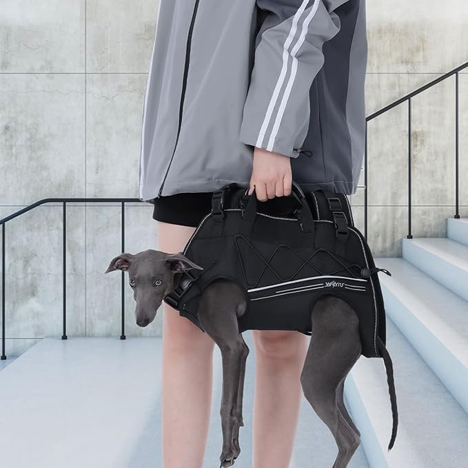 Dog Backpack Carrier for Small Dogs,Dog Lift Harness,Adjustable Padded Breathable Straps for Dogs, Disabled, Joint Injuries, Arthritis, Loss of Stability Dogs Walk,XL(24-35LBS)