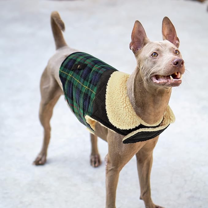 Winter Coat for Small and Medium Dogs, Puppy Plaid Jacket, Cotton Coat for Cold Weather, Windproof Warm Dog Garments, Pet Thickened Outfits Indoor Outdoor, Green L