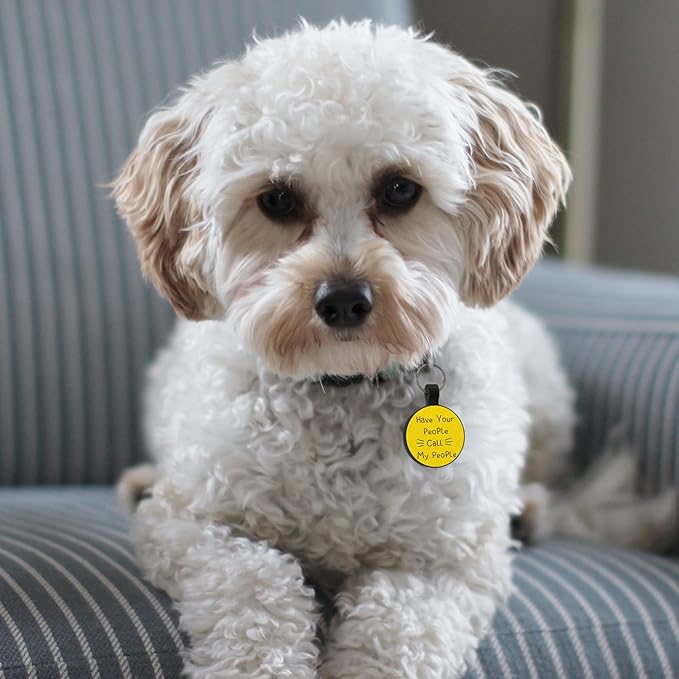 MYLUCKYTAG QR Code Silicone Pet ID Tag for Dogs and Cats - Online Profile, Location Alert Email, Digital and Quiet Tag, Durable Collar ID, Engraved