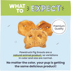 Pawstruck Natural Slow Roasted Pig Snouts for Dogs – Premium Single Ingredient Low Fat Pork Chew Treat for All Breeds – No Artificial Preservatives – 10 Count