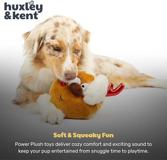 Huxley & Kent Funny Dog Toy w/Squeaker – Holiday Power Plush Squeaky Dog Toys for Small, Medium & Large Dogs – Soft Stuffed Animal for Indoor Play & Fetch - Gotta Dash Reindeer Cookie, Large
