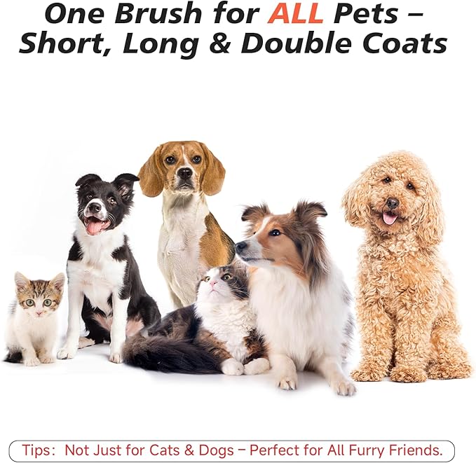 Steam Dog Brush for Shedding & Grooming - Self-Cleaning Deshedding Brush with Spritz Function, Slicker Pet Spray Hair Removal Comb | Defurring Tool for Long and Short Haired Dogs Cats (White)