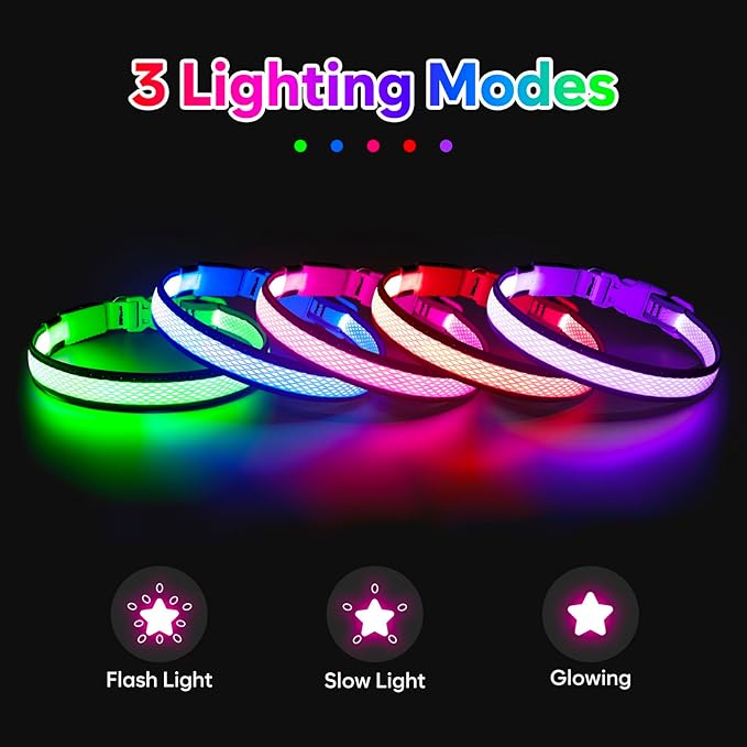Flashseen LED Dog Collar, Light Up Dog Collar USB Rechargeable, Brightest Dog Lights for Night Walking, Adjustable Dog Collar Light for Dog Safety(Medium, Royal Blue)
