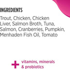 Nulo Trout & Salmon Recipe Pate Wet Canned Cat Food, 5.5 Ounce (Pack of 24)