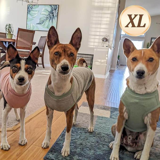 KYEESE 2Pack Dog Shirts Waffle for Small Dogs Stretchy Dog T-Shirts Lightweight Dogs Tank Top Sleeveless Pet Vest Breathable, X-Large, Purple+Grey