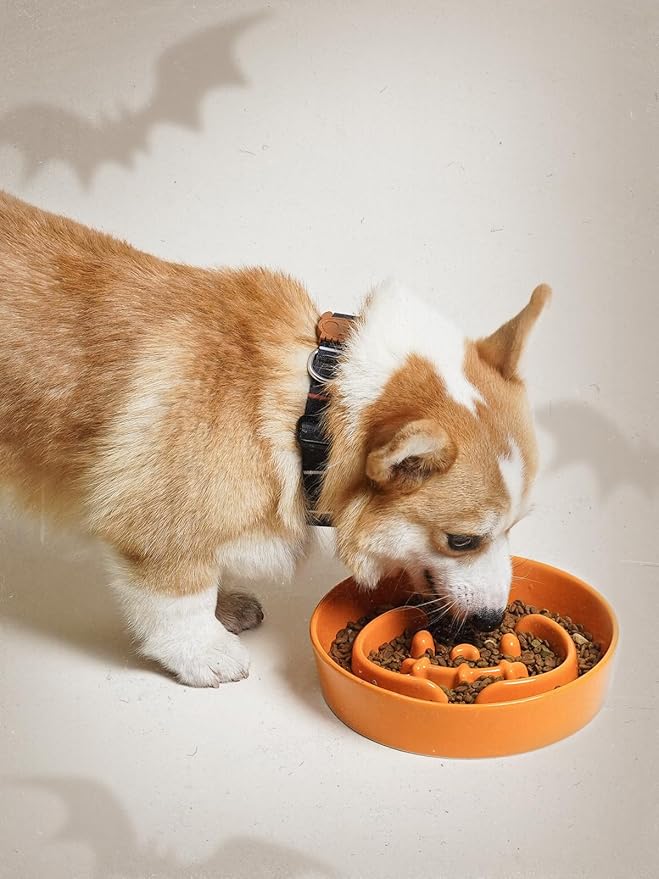 LE TAUCI Ceramic Puzzle Feeder Bowl Raised 1.5 Cup with Wood Stand for Small Medium Dog & Puppy, Fast Eating Food Dish,Pumpkin Orange