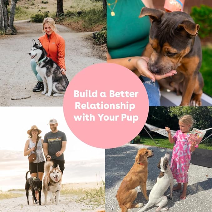 Pupford Soft & Chewy Training Treats for Dogs & Puppies (Pork, 10 oz)