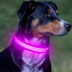 VIZPET LED Dog Collar, Light Up Dog Collar Adjustable USB Rechargeable Super Bright Safety Light Glowing Collars for Dogs (Purple, Small[11.02-15.74 inch/28-40cm])