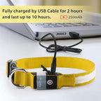 PcEoTllar Light up Dog Collar for Night Walking - LED Dog Collar Light Rechargeable Color Changing, Glow in The Dark Dog Collars Waterproof Glowing Dog Collars for Large Small Medium Dogs